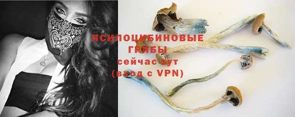 PSILOCYBIN Лагань