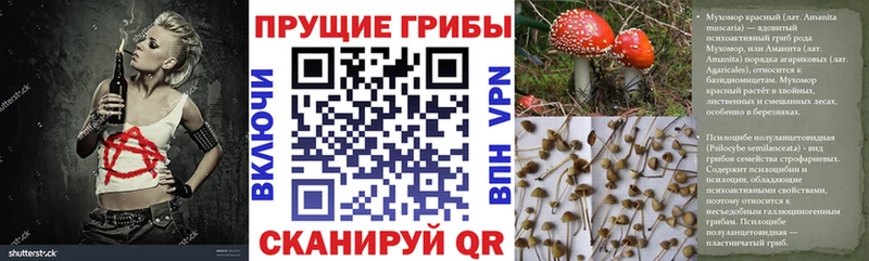 Галлюциногенные грибы MAGIC MUSHROOMS Оса